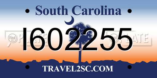 I602255 South Carolina License Plate
