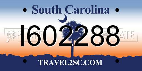 I602288 South Carolina License Plate
