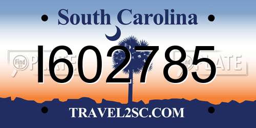 I602785 South Carolina License Plate