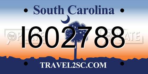I602788 South Carolina License Plate