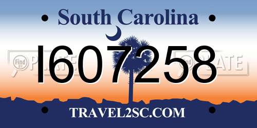 I607258 South Carolina License Plate