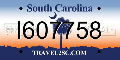 I607758 South Carolina License Plate