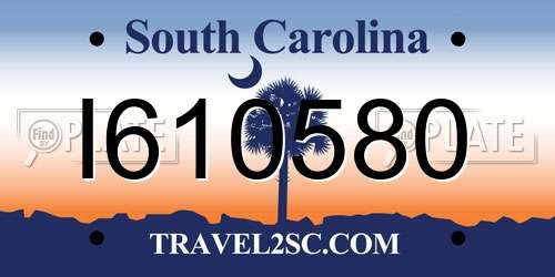 I610580 South Carolina License Plate