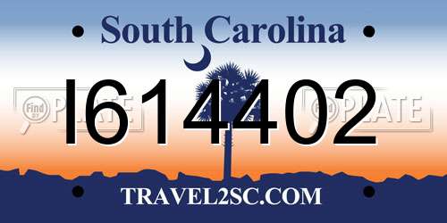 I614402 South Carolina License Plate