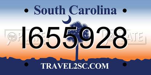 I655928 South Carolina License Plate