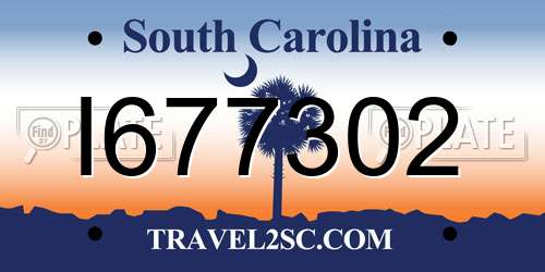 I677302 South Carolina License Plate
