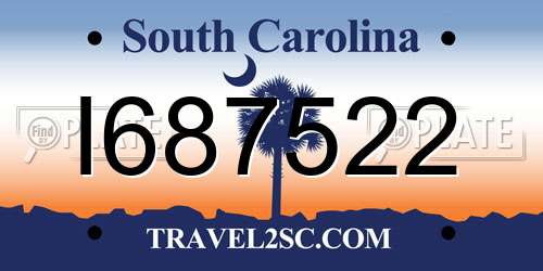 I687522 South Carolina License Plate