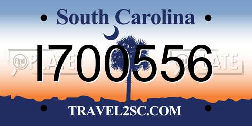 I700556 South Carolina License Plate