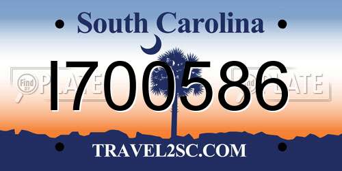 I700586 South Carolina License Plate