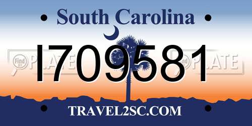 I709581 South Carolina License Plate