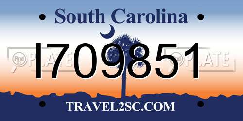 I709851 South Carolina License Plate