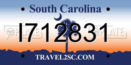 I712831 South Carolina License Plate