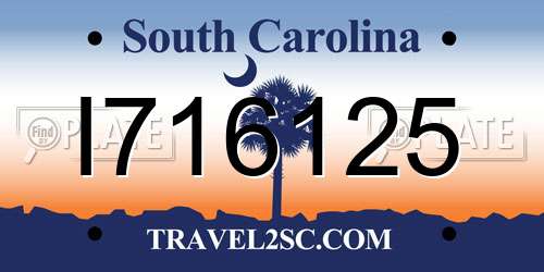 I716125 South Carolina License Plate