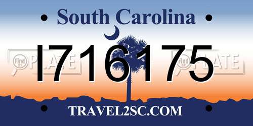 I716175 South Carolina License Plate