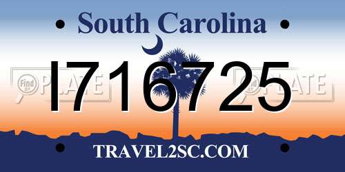 I716725 South Carolina License Plate