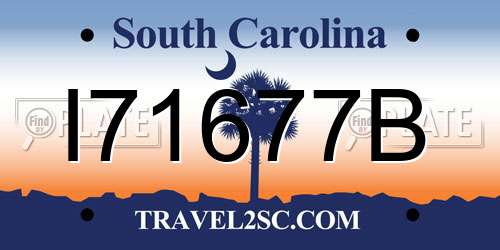 I71677B South Carolina License Plate