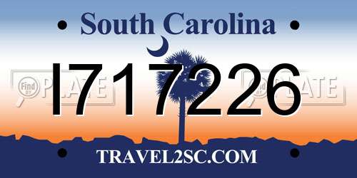 I717226 South Carolina License Plate