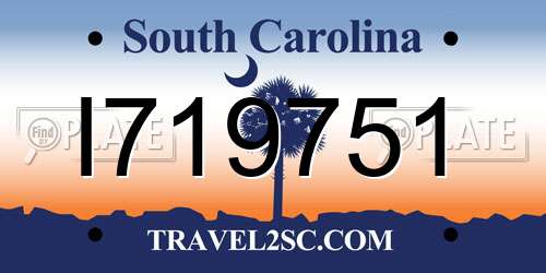 I719751 South Carolina License Plate