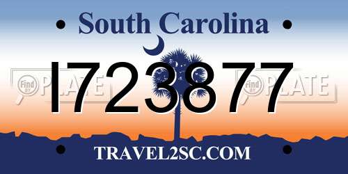 I723877 South Carolina License Plate