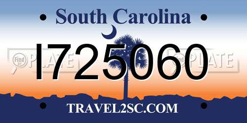 I725060 South Carolina License Plate