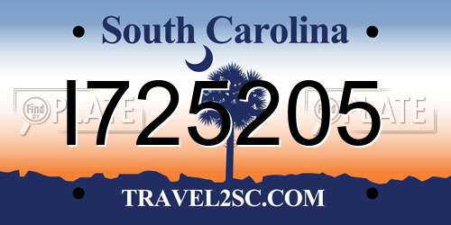 I725205 South Carolina License Plate