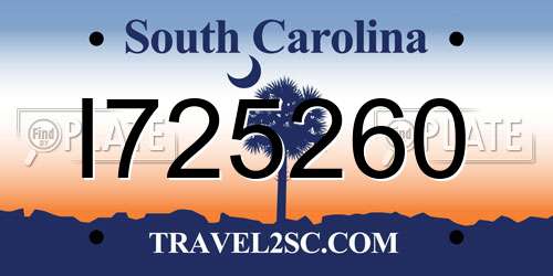 I725260 South Carolina License Plate