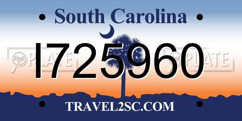 I725960 South Carolina License Plate
