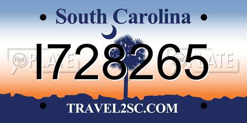 I728265 South Carolina License Plate