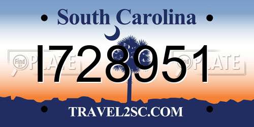 I728951 South Carolina License Plate