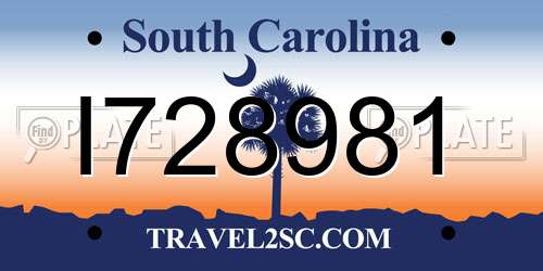 I728981 South Carolina License Plate