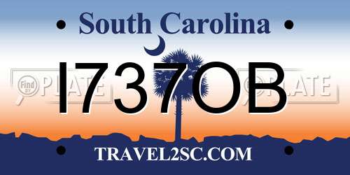 I737OB South Carolina License Plate