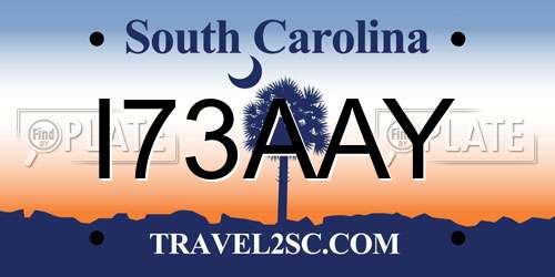 I73AAY South Carolina License Plate
