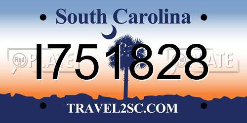 I751828 South Carolina License Plate