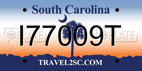 I77009T South Carolina License Plate