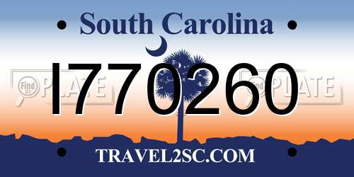 I770260 South Carolina License Plate