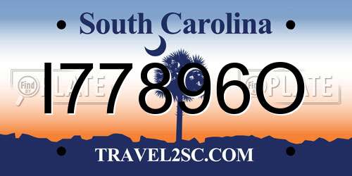 I77896O South Carolina License Plate