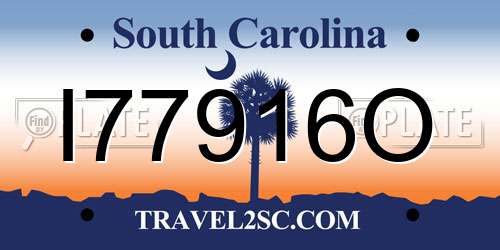 I77916O South Carolina License Plate