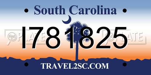 I781825 South Carolina License Plate
