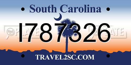 I787326 South Carolina License Plate