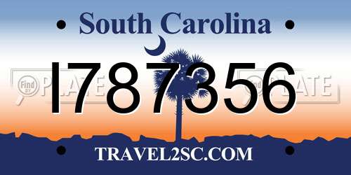 I787356 South Carolina License Plate