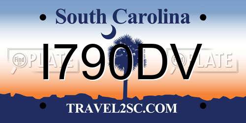 I790DV South Carolina License Plate