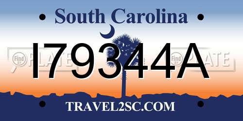 I79344A South Carolina License Plate