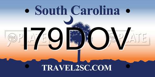 I79DOV South Carolina License Plate