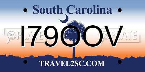 I79OOV South Carolina License Plate