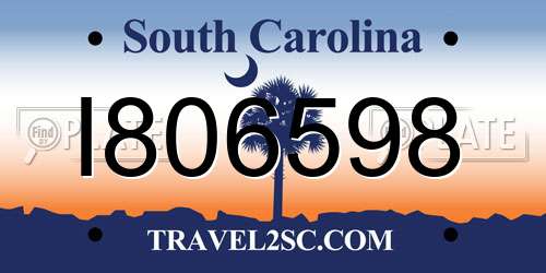 I806598 South Carolina License Plate