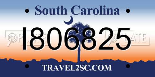 I806825 South Carolina License Plate