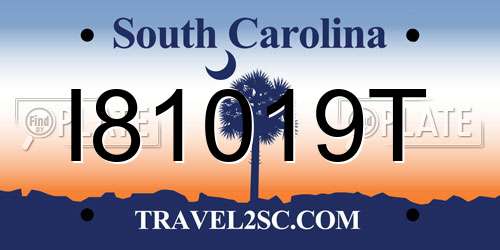 I81019T South Carolina License Plate