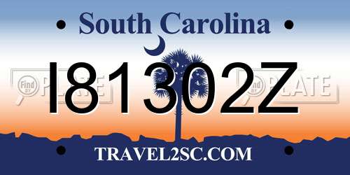I81302Z South Carolina License Plate