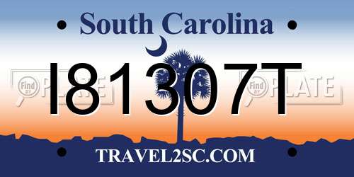 I81307T South Carolina License Plate