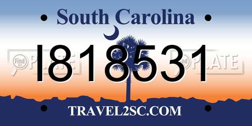 I818531 South Carolina License Plate